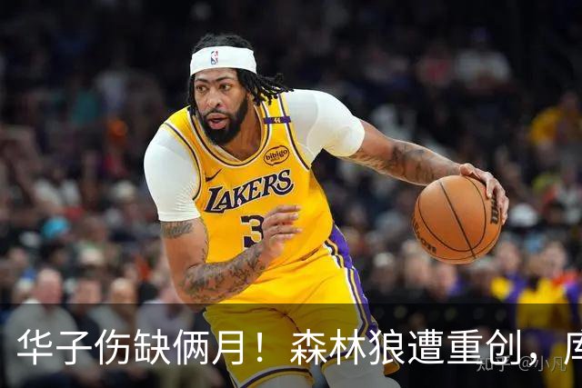 华子伤缺俩月！森林狼遭重创，库明加又要开始放开瞎抡了？