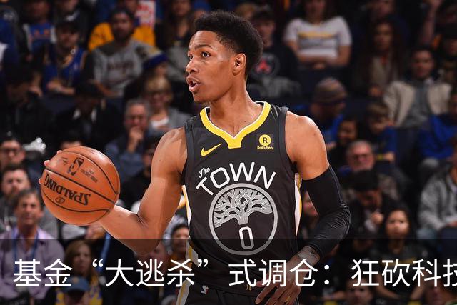 基金“大逃杀”式调仓：狂砍科技仓位！