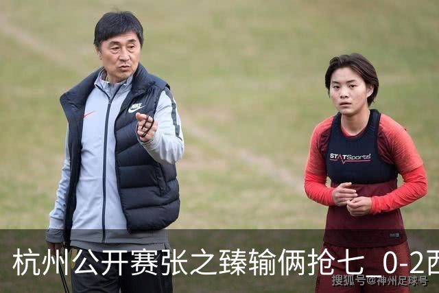 杭州公开赛张之臻输俩抢七 0-2西里奇收获亚军
