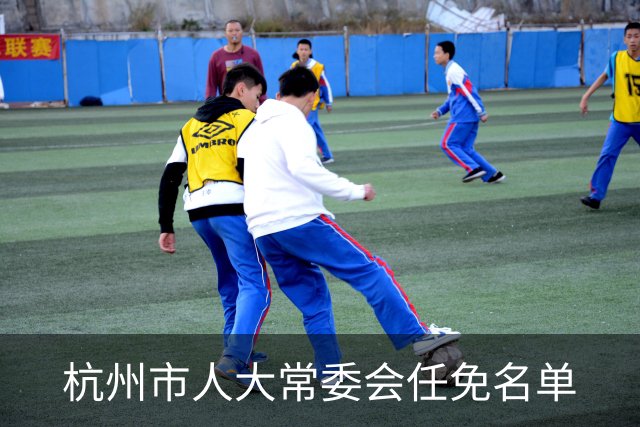 杭州市人大常委会任免名单