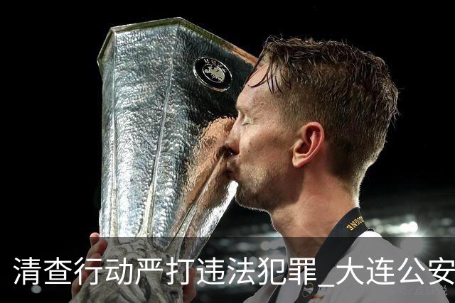 清查行动严打违法犯罪 大连公安公布5起典型案例