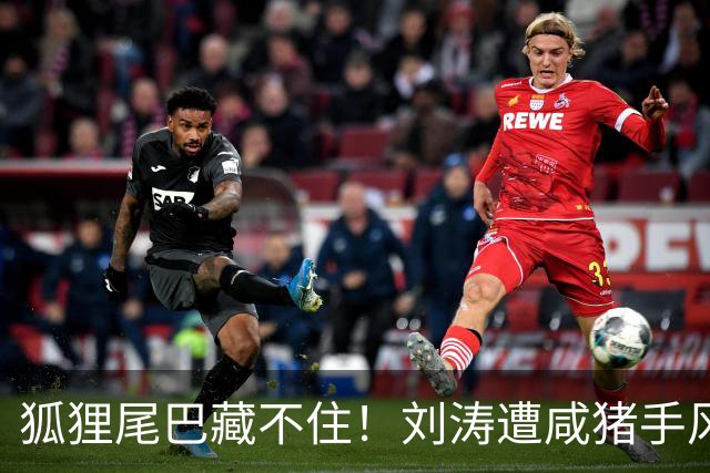 狐狸尾巴藏不住！刘涛遭咸猪手风波再升级，受害者远不止一个