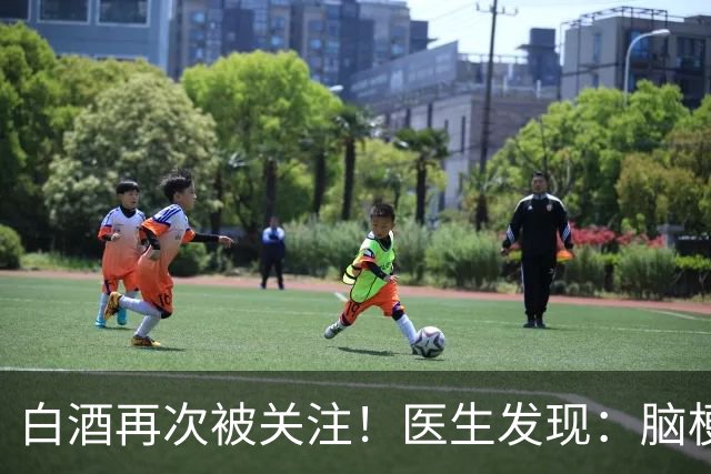 白酒再次被关注！医生发现：脑梗者喝白酒，不用多久或有几变化