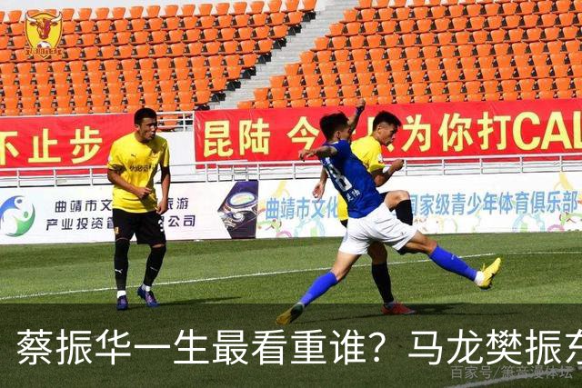 蔡振华一生最看重谁？马龙樊振东都落选，保国乒长青的底牌终揭晓